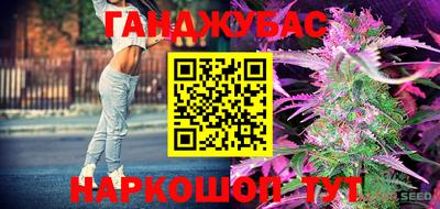 индика Гусиноозёрск