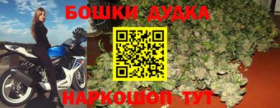 индика Гусиноозёрск