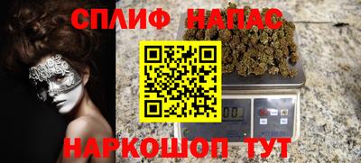 индика Гусиноозёрск