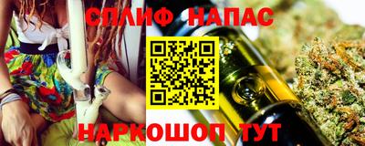 индика Гусиноозёрск