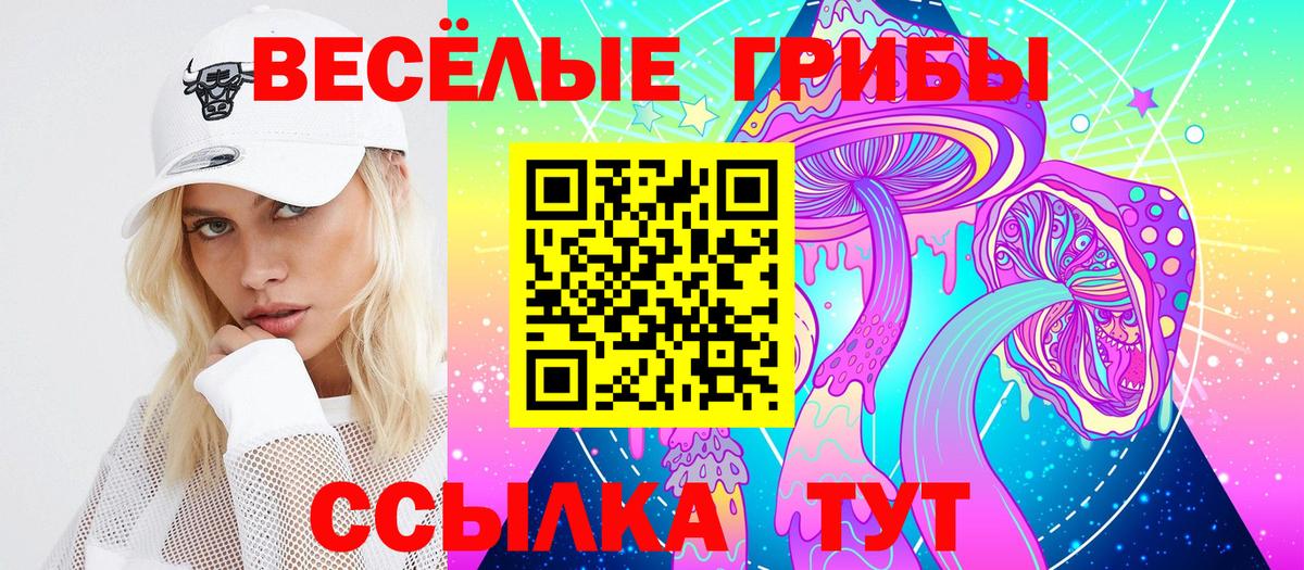Псилоцибиновые грибы прущие грибы  Вход с VPN  Наро-Фоминск  магазин  наркотиков  Псилоцибиновые грибы Cubensis 