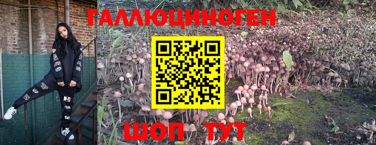 Псилоцибиновые грибы Cubensis Наро-Фоминск